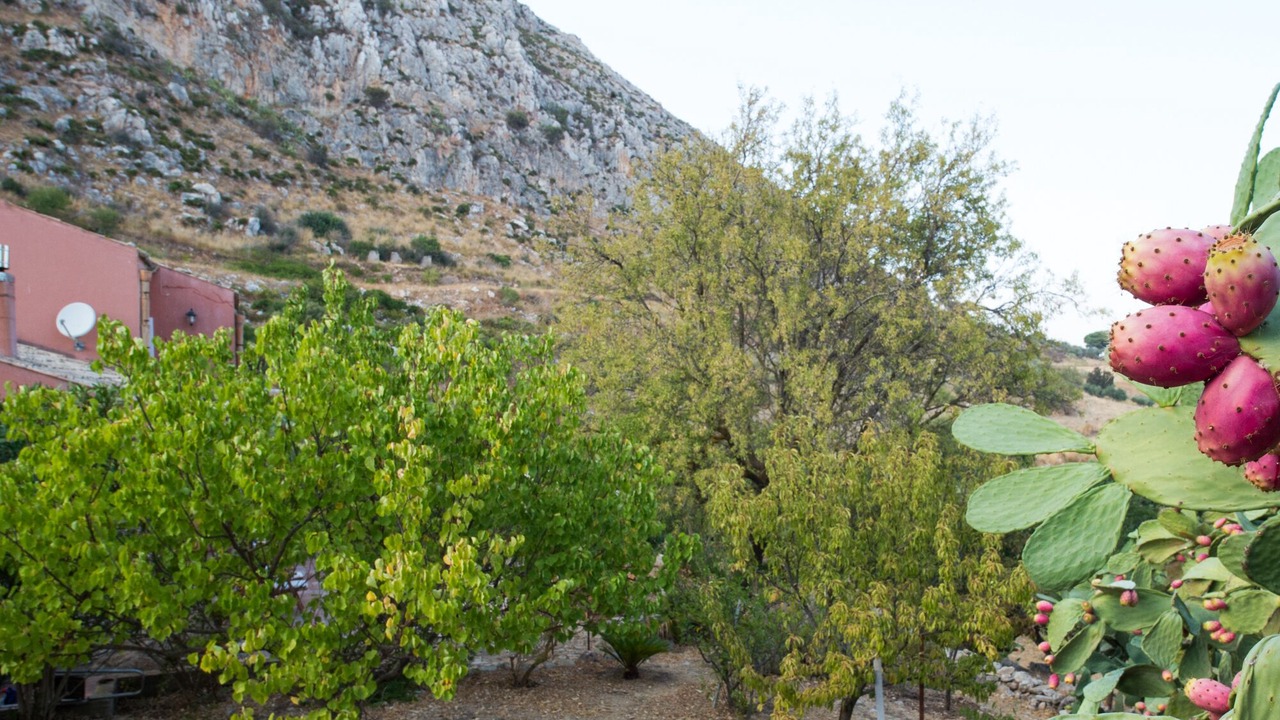 Photo of Outdoor in Valderice