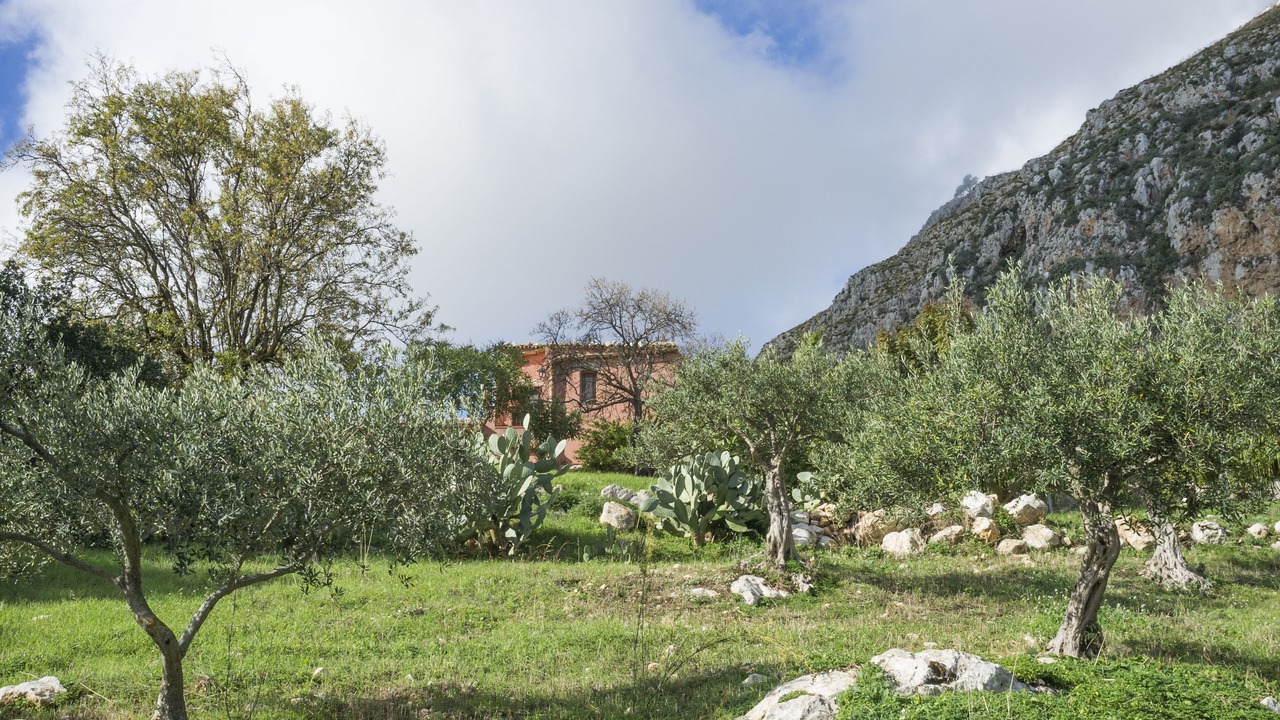Photo of Outdoor in Valderice