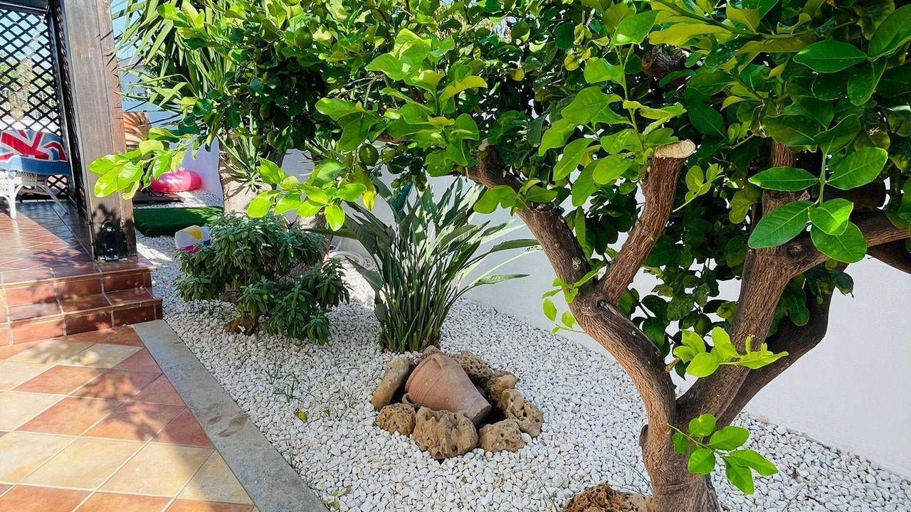 Photo of Outdoor in Valderice