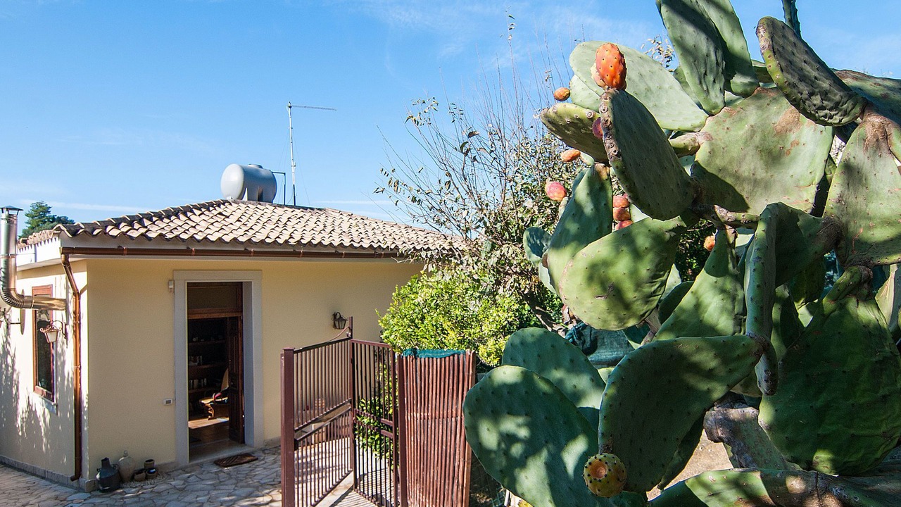 Photo of Outdoor in Noto Marina