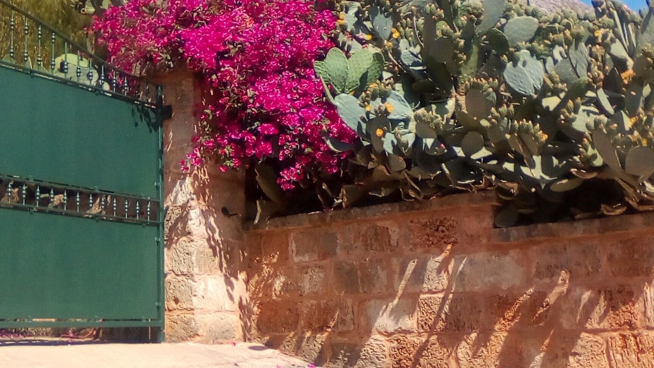 Photo of Outdoor in Castelluzzo