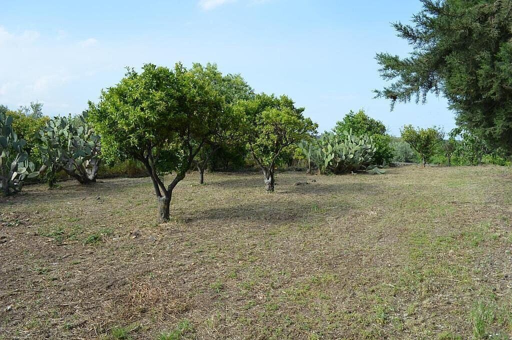 Photo of Outdoor in Viagrande