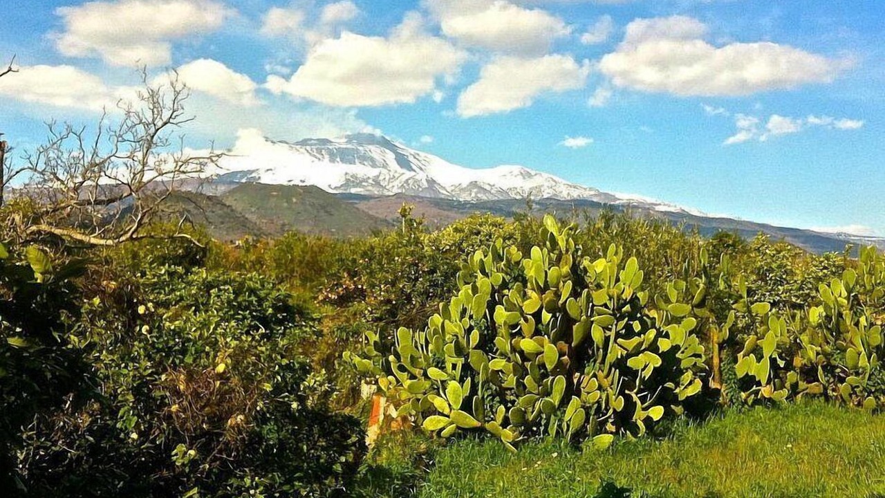 Photo of Outdoor in Viagrande