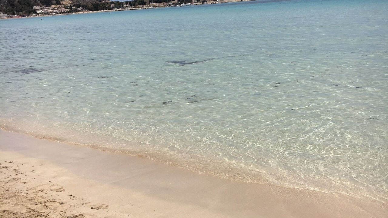 Photo of Others in San Vito Lo Capo