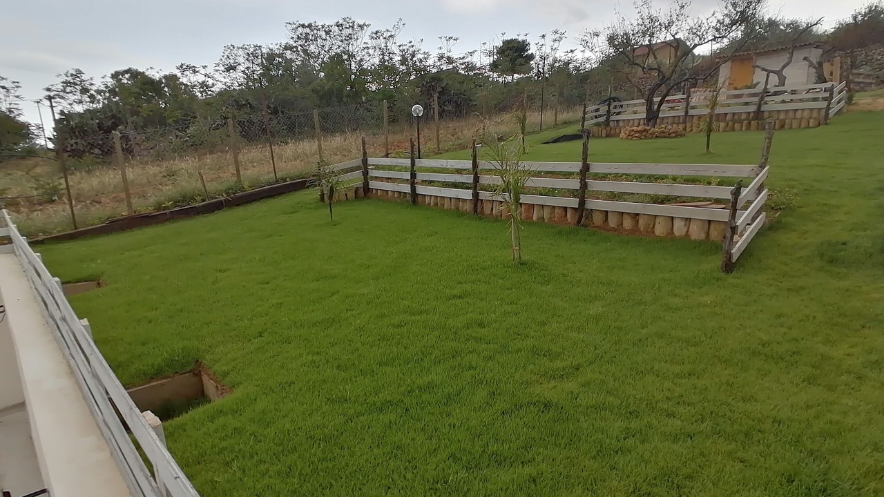 Photo of Outdoor in Camastra