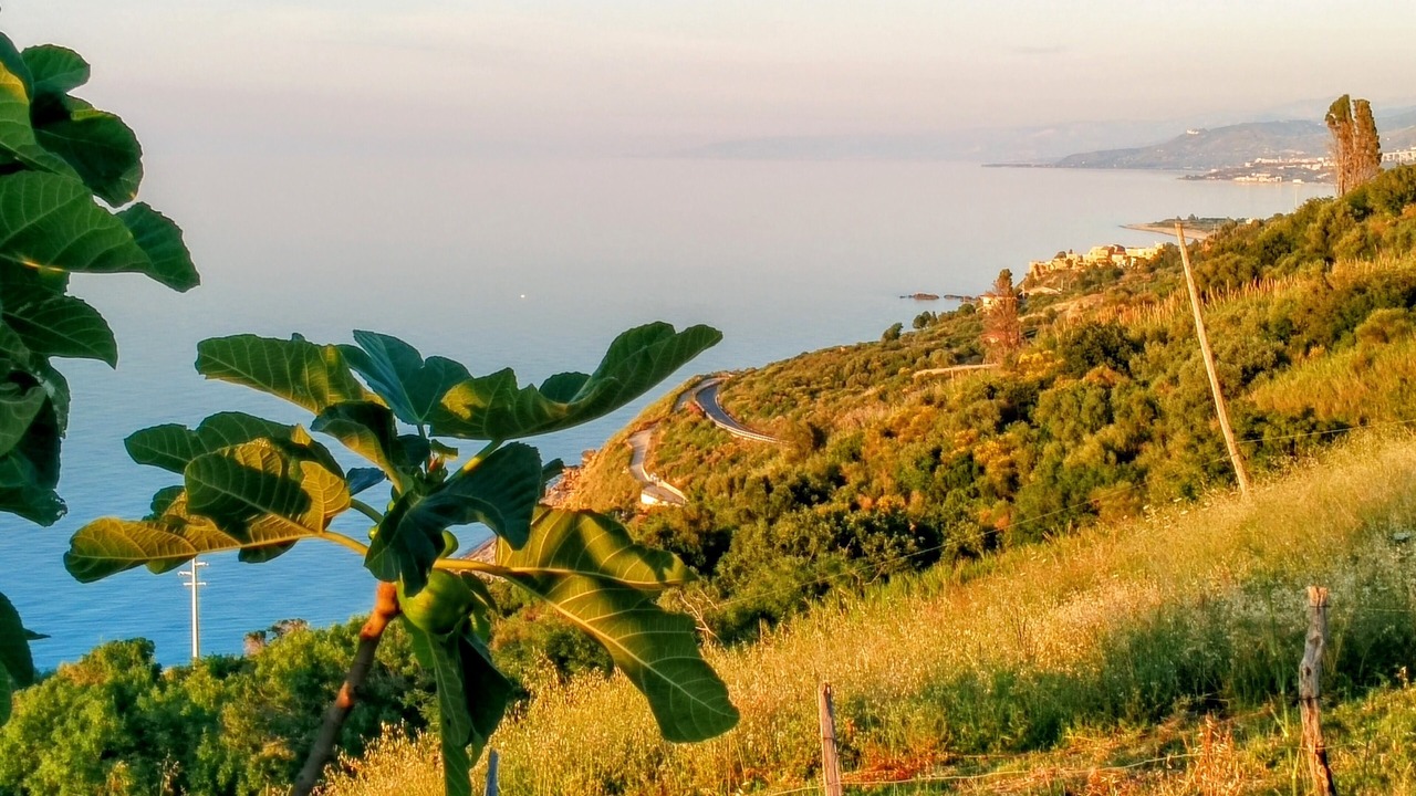 Photo of Outdoor in Tusa