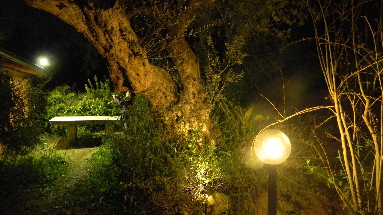 Photo of Outdoor in Mineo
