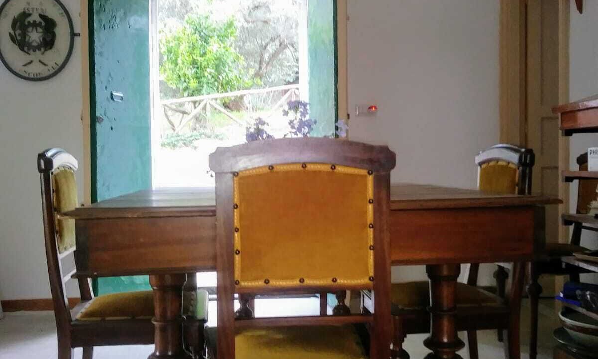 Photo of Others in Mineo