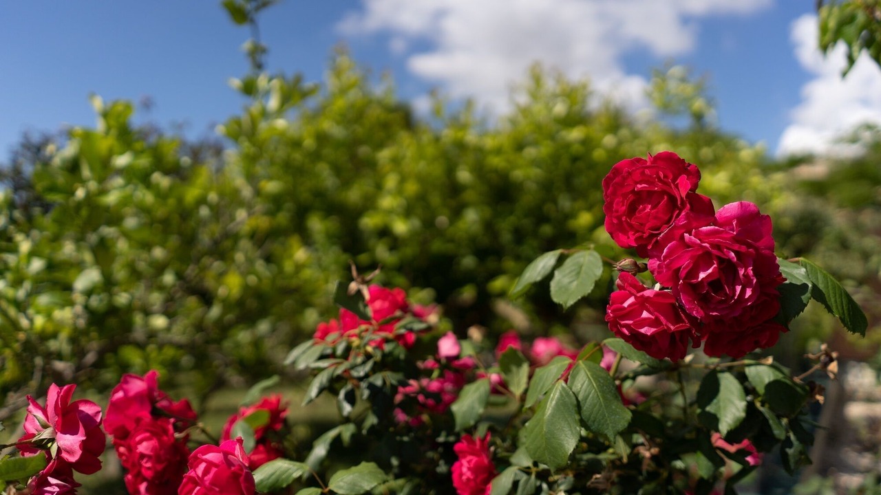 Photo of Outdoor in Partanna