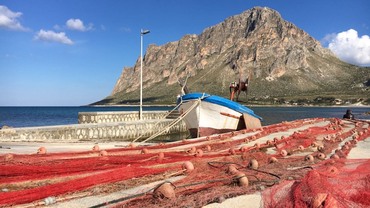 Photo of Others in Custonaci