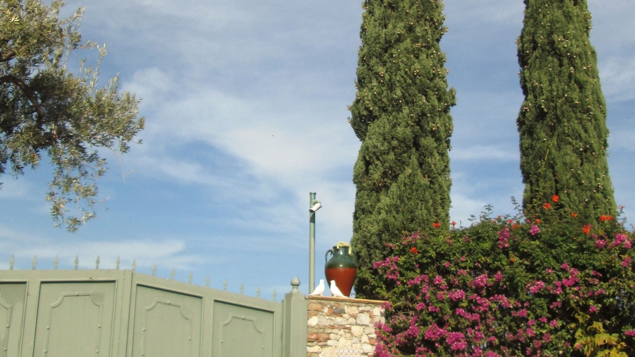 Photo of Outdoor in Mazzaro