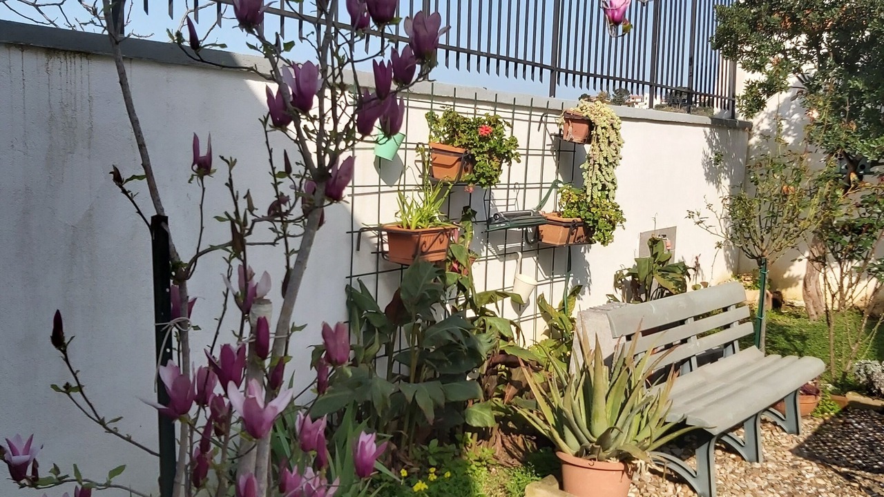 Photo of Patio Balcony in Monreale