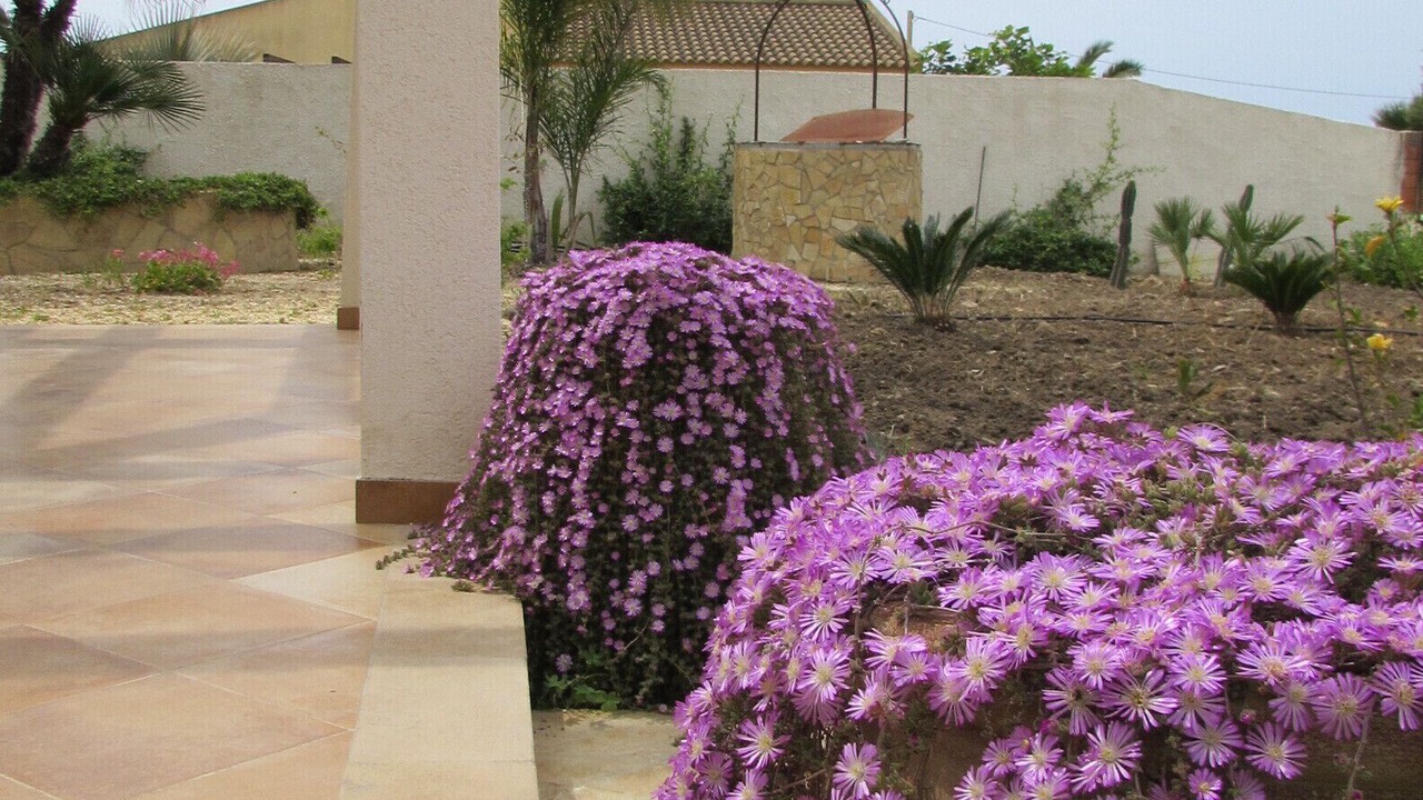 Photo of Outdoor in Sciacca