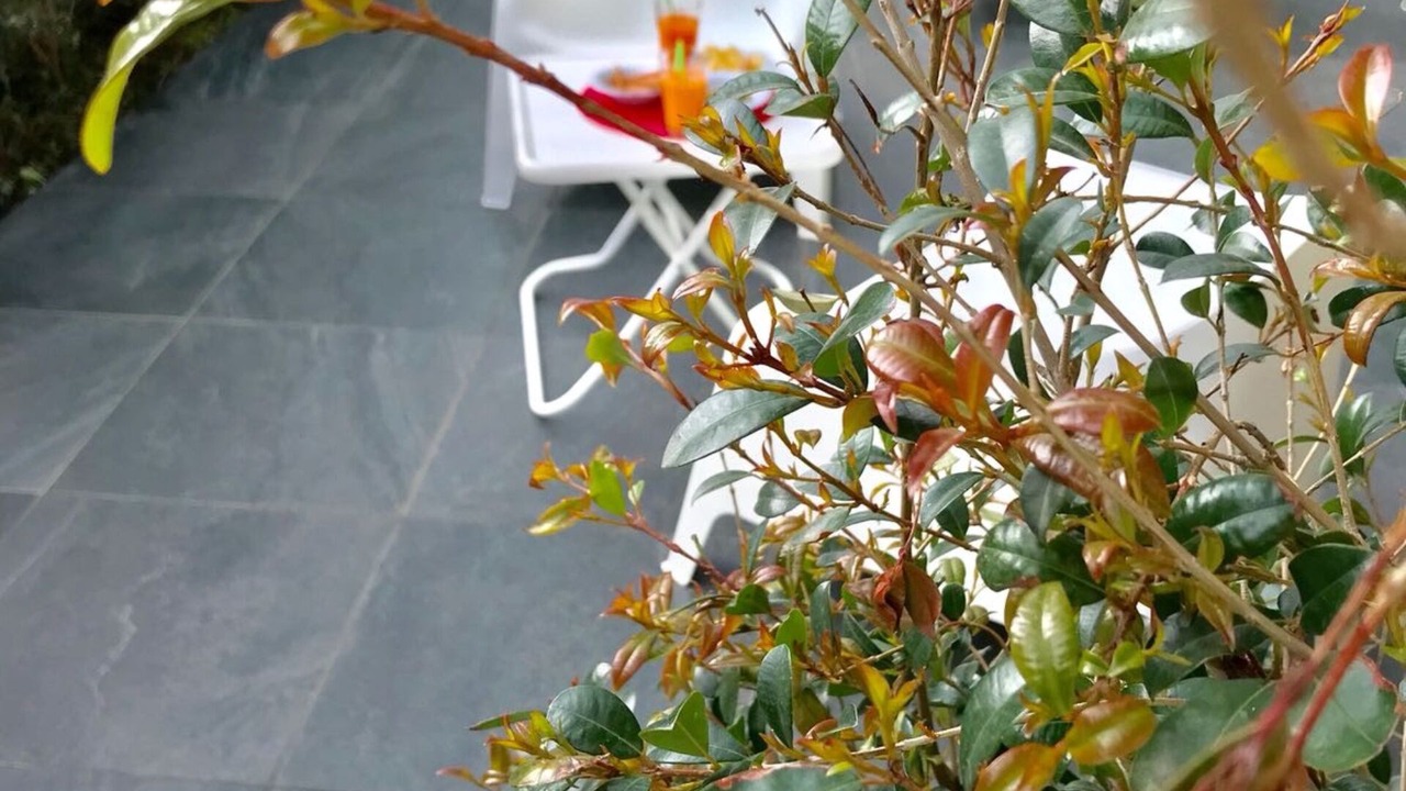 Photo of Patio Balcony in Santa Venerina