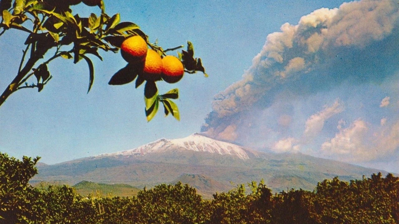 Photo of Others in Santa Venerina