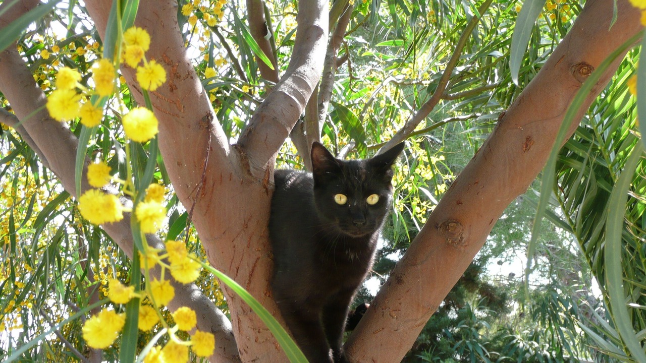 Photo of Outdoor in Marina di Modica