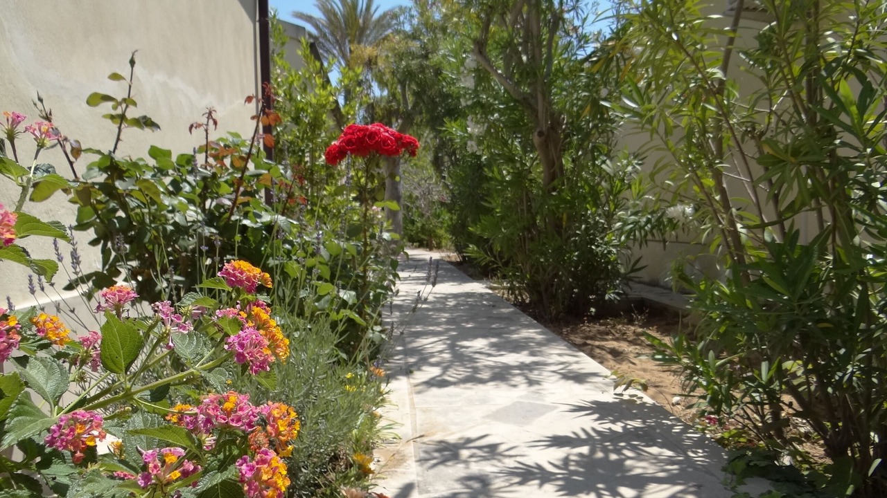 Photo of Outdoor in Marina di Modica