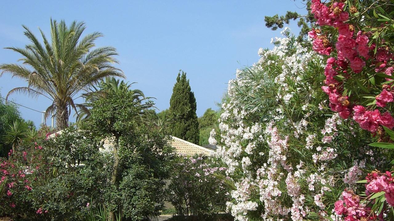 Photo of Outdoor in Marina di Modica