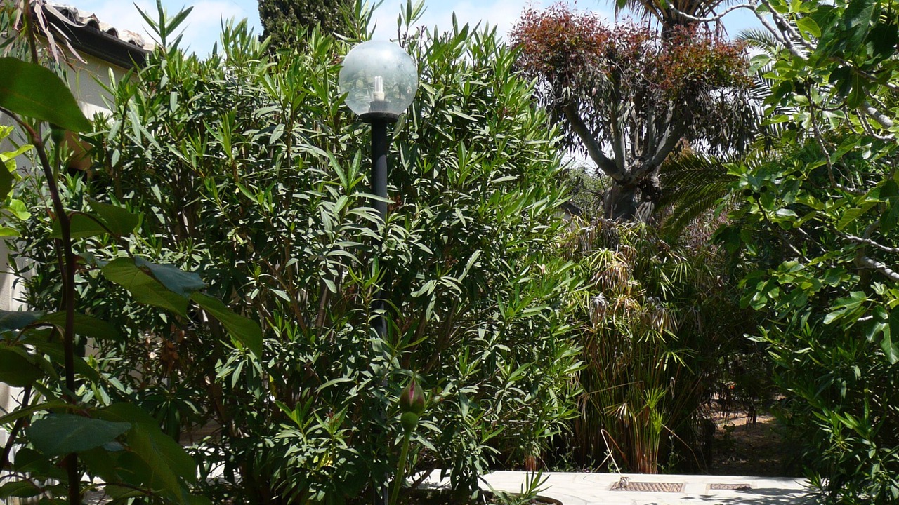 Photo of Outdoor in Marina di Modica