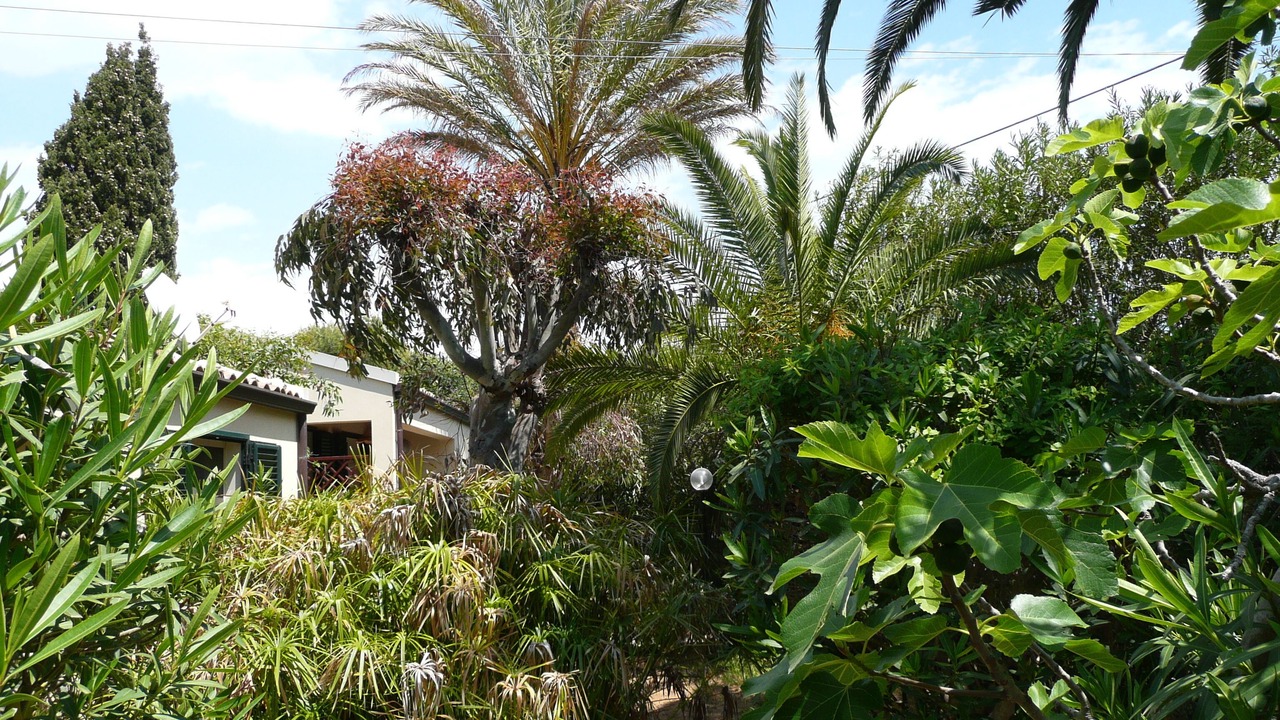 Photo of Outdoor in Marina di Modica