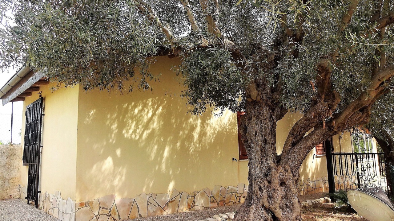 Photo of Outdoor in Gallina