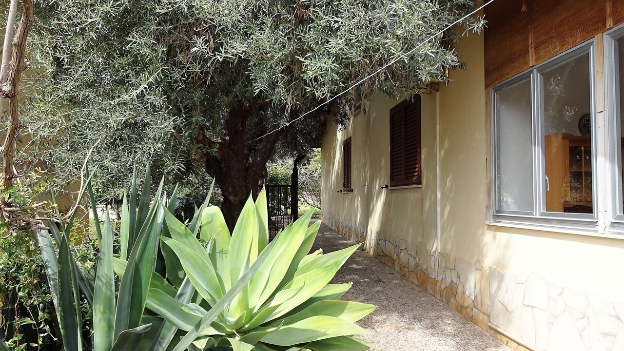 Photo of Outdoor in Gallina