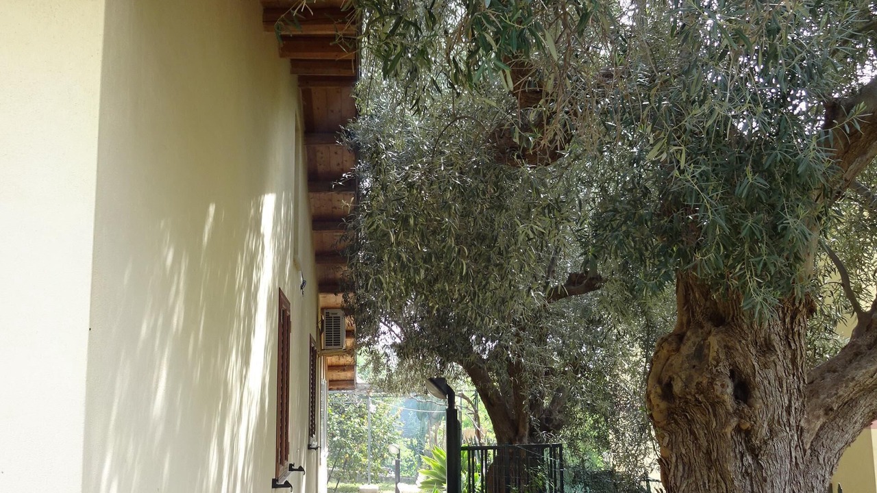 Photo of Outdoor in Gallina