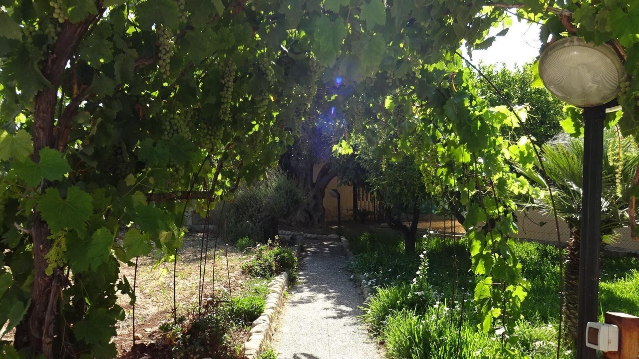 Photo of Outdoor in Gallina