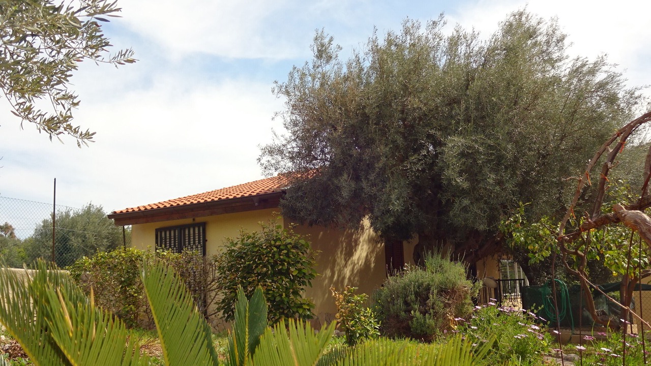 Photo of Outdoor in Gallina
