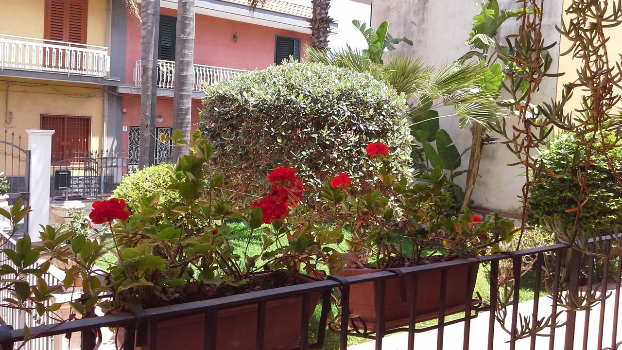 Photo of Outdoor in Stazzo