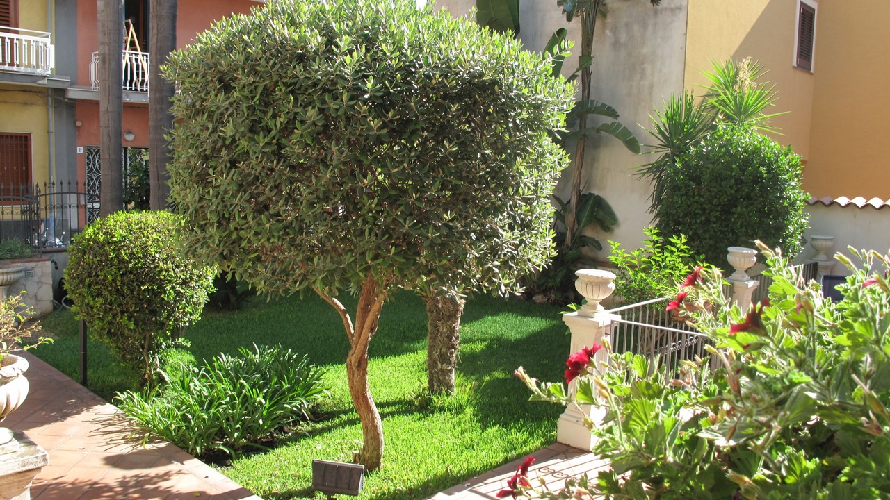 Photo of Outdoor in Stazzo