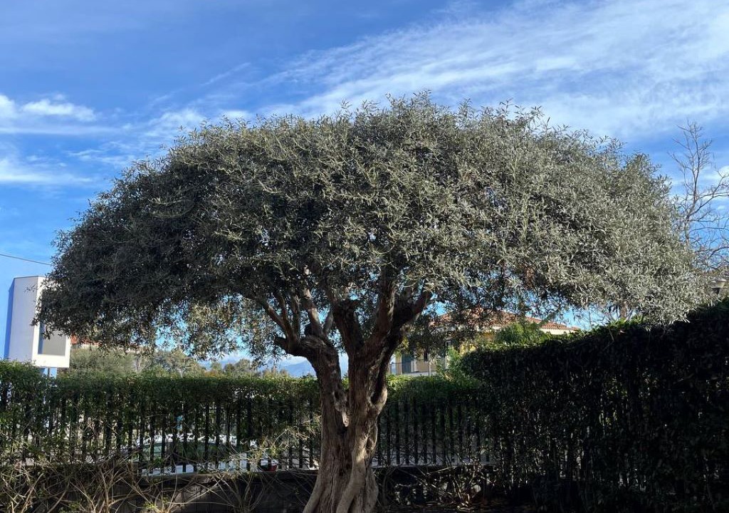 Photo of Outdoor in Sant'Anna