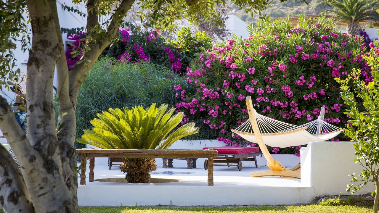 Photo of Others in Panarea