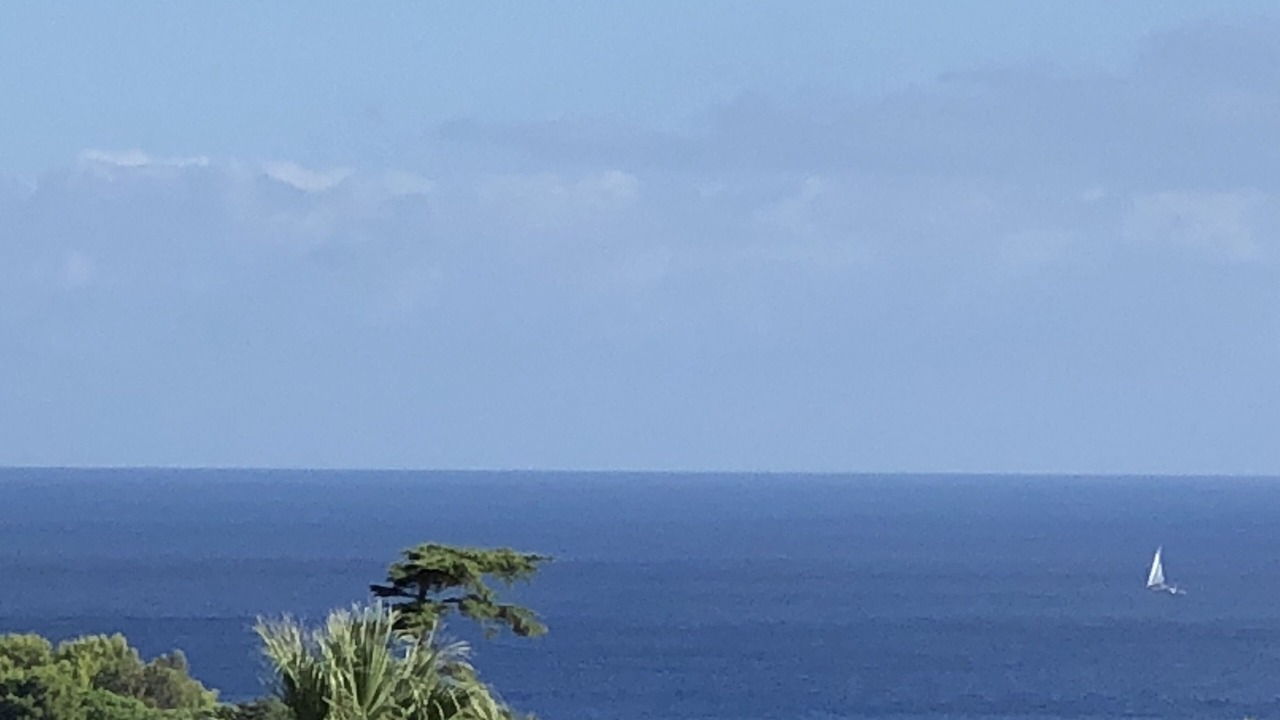 Photo of Others in Scopello