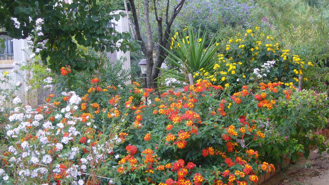 Photo of Outdoor in Caltanissetta