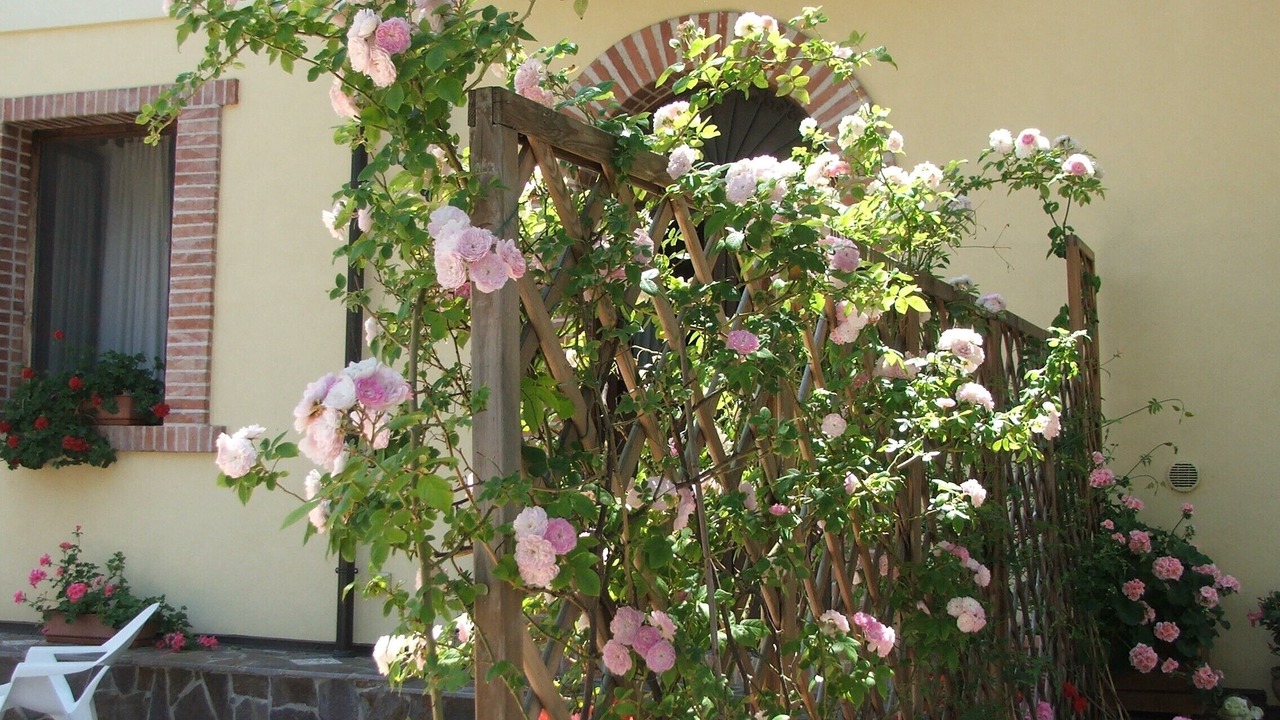 Photo of Outdoor in Piraino