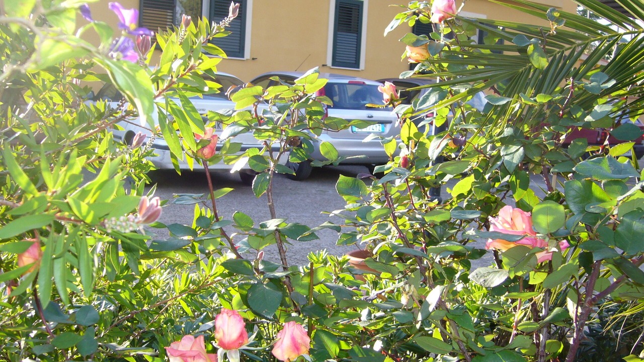 Photo of Outdoor in Caltanissetta