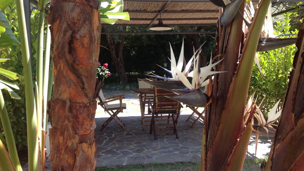 Photo of Outdoor in Piraino