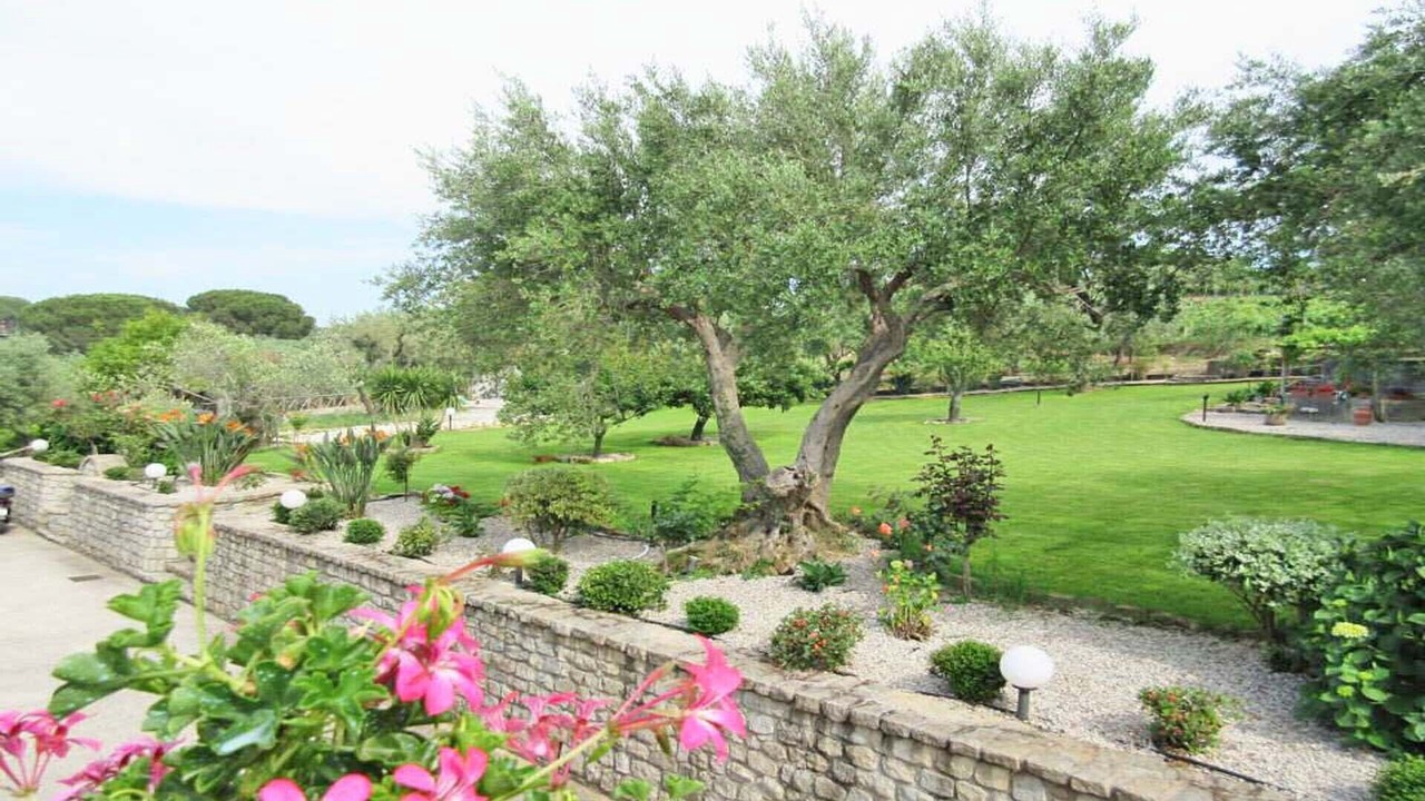 Photo of Outdoor in Naso