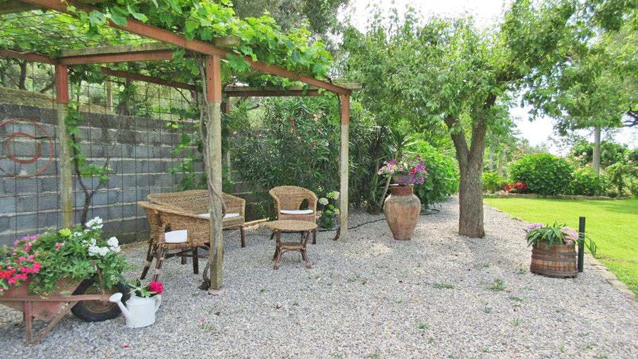 Photo of Outdoor in Naso
