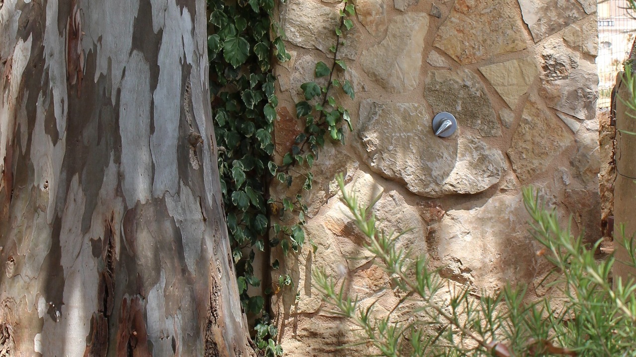 Photo of Outdoor in Ragusa