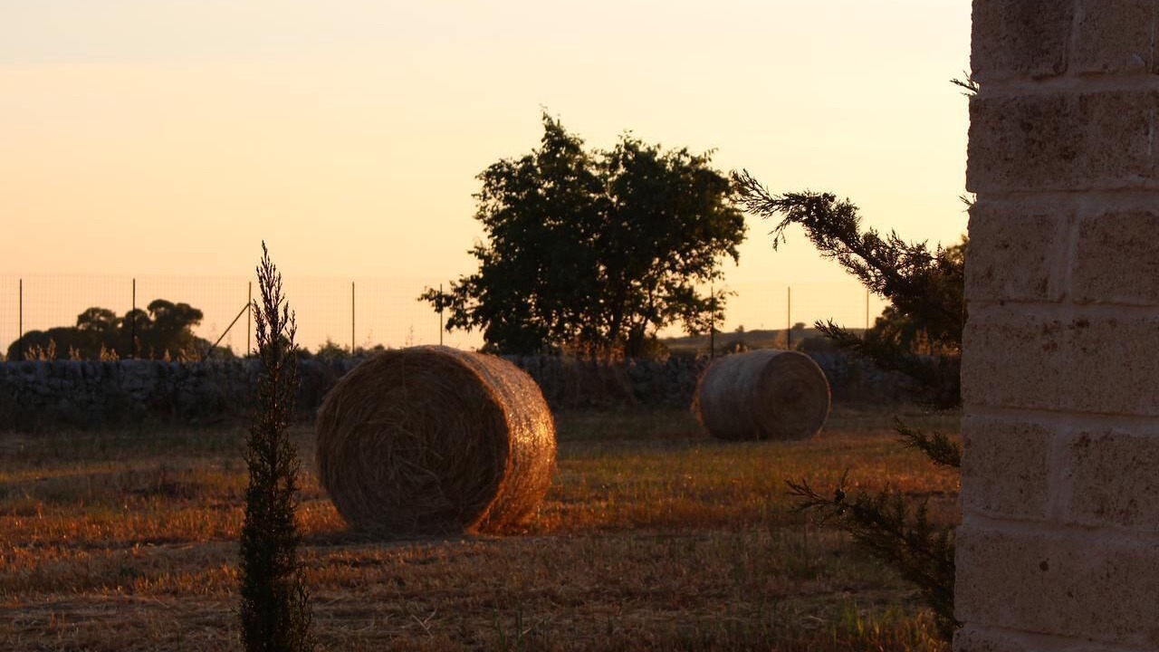 Photo of Outdoor in Ragusa