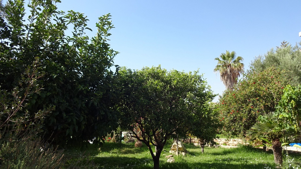 Photo of Outdoor in Avola