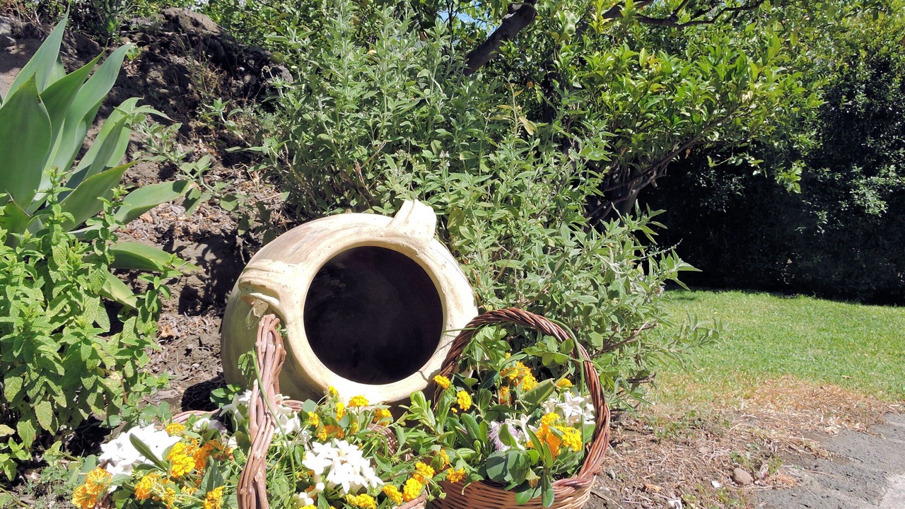 Photo of Outdoor in Santa Tecla