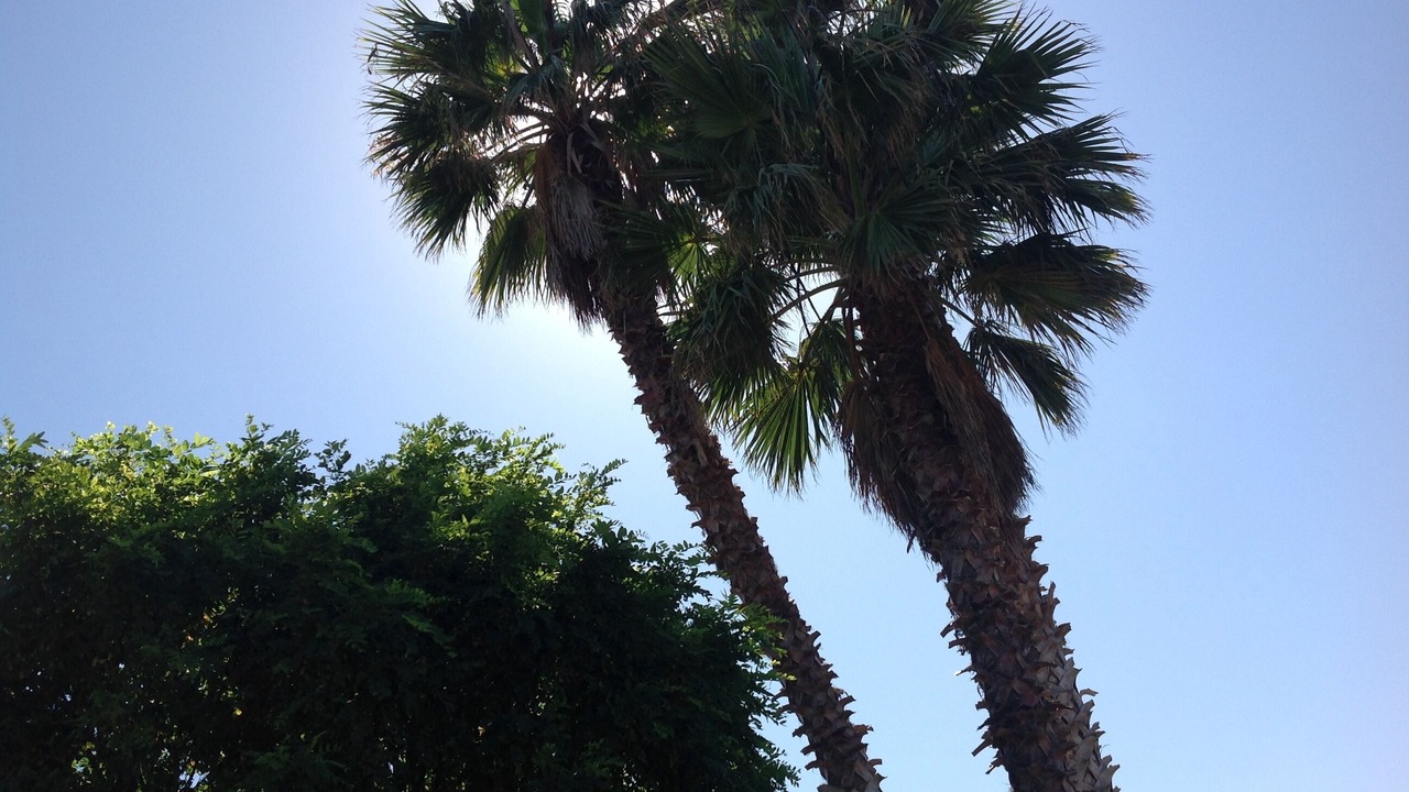 Photo of Outdoor in Ragusa