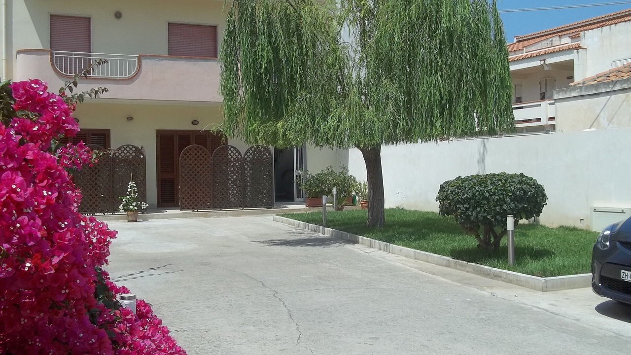 Photo of Outdoor in Spadafora