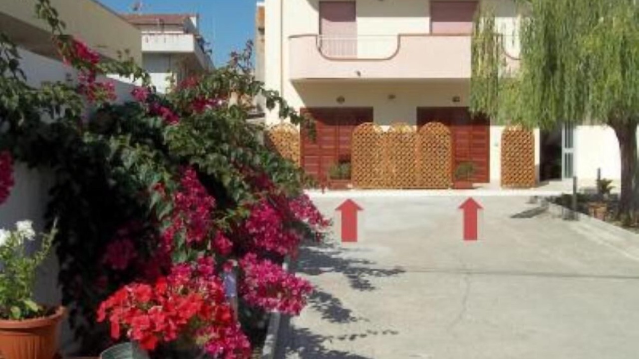 Photo of Others in Spadafora