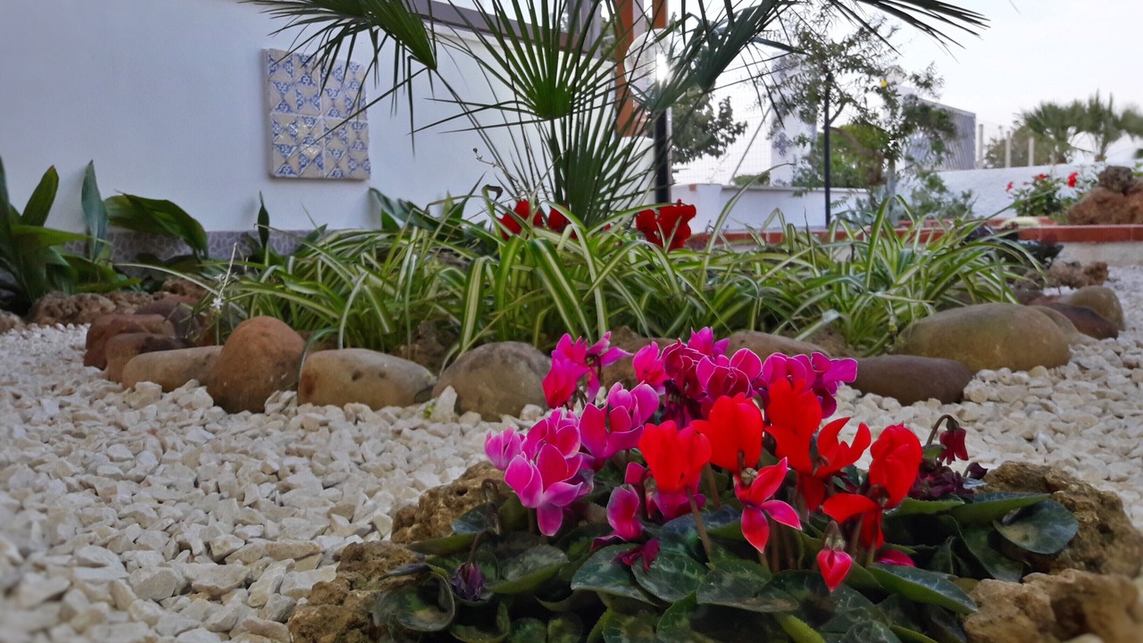 Photo of Outdoor in Birgi Vecchi