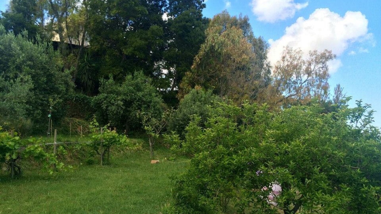 Photo of Outdoor in Condro