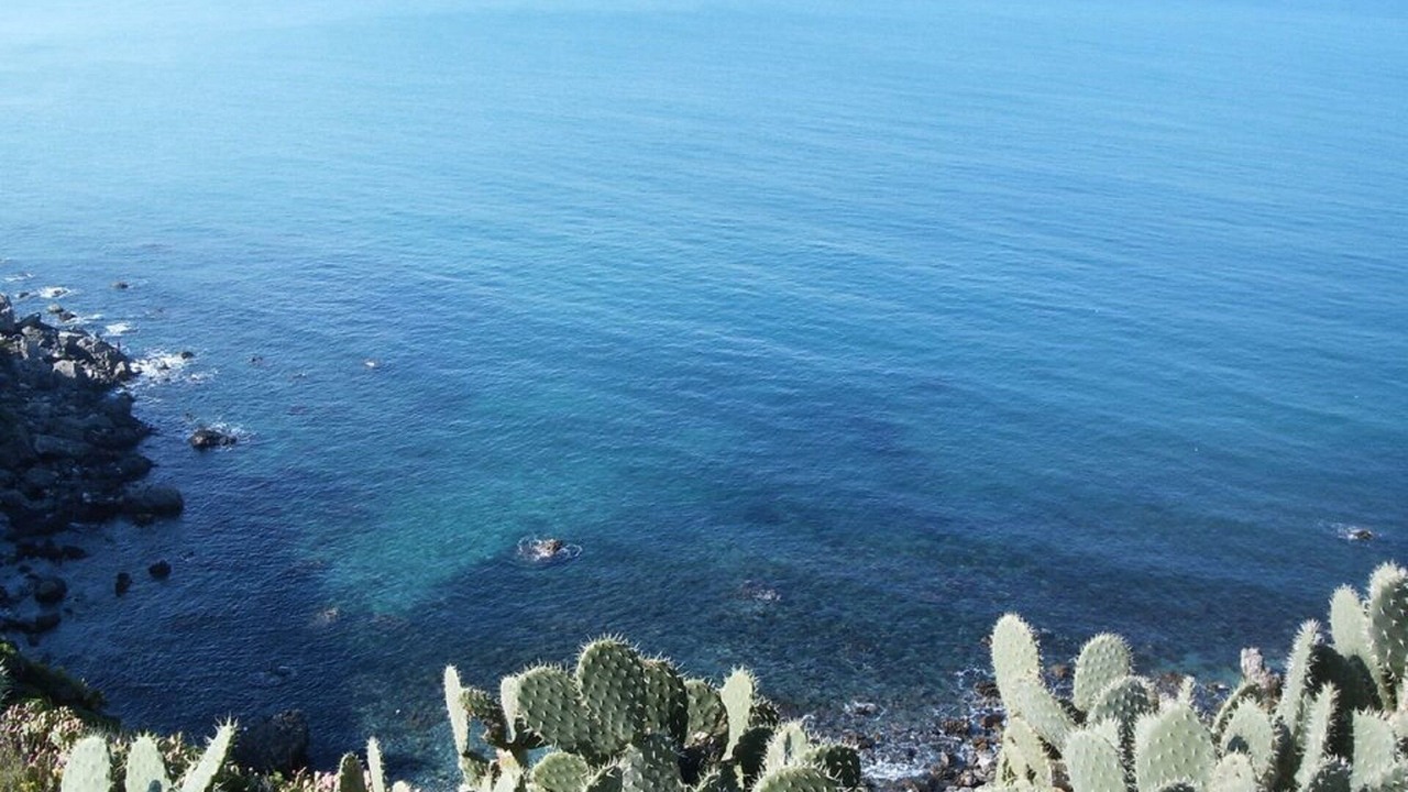 Photo of Outdoor in Condro
